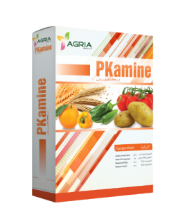 PKamine