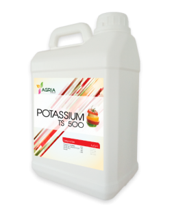 Potassium TS 500