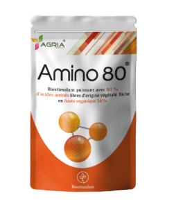 Amino 80