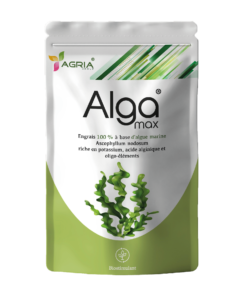 Alga max