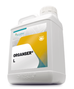 Organser