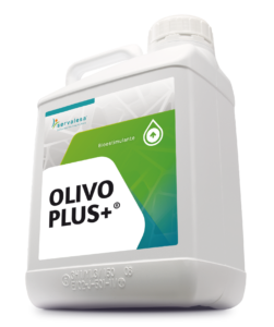 Olivo plus +